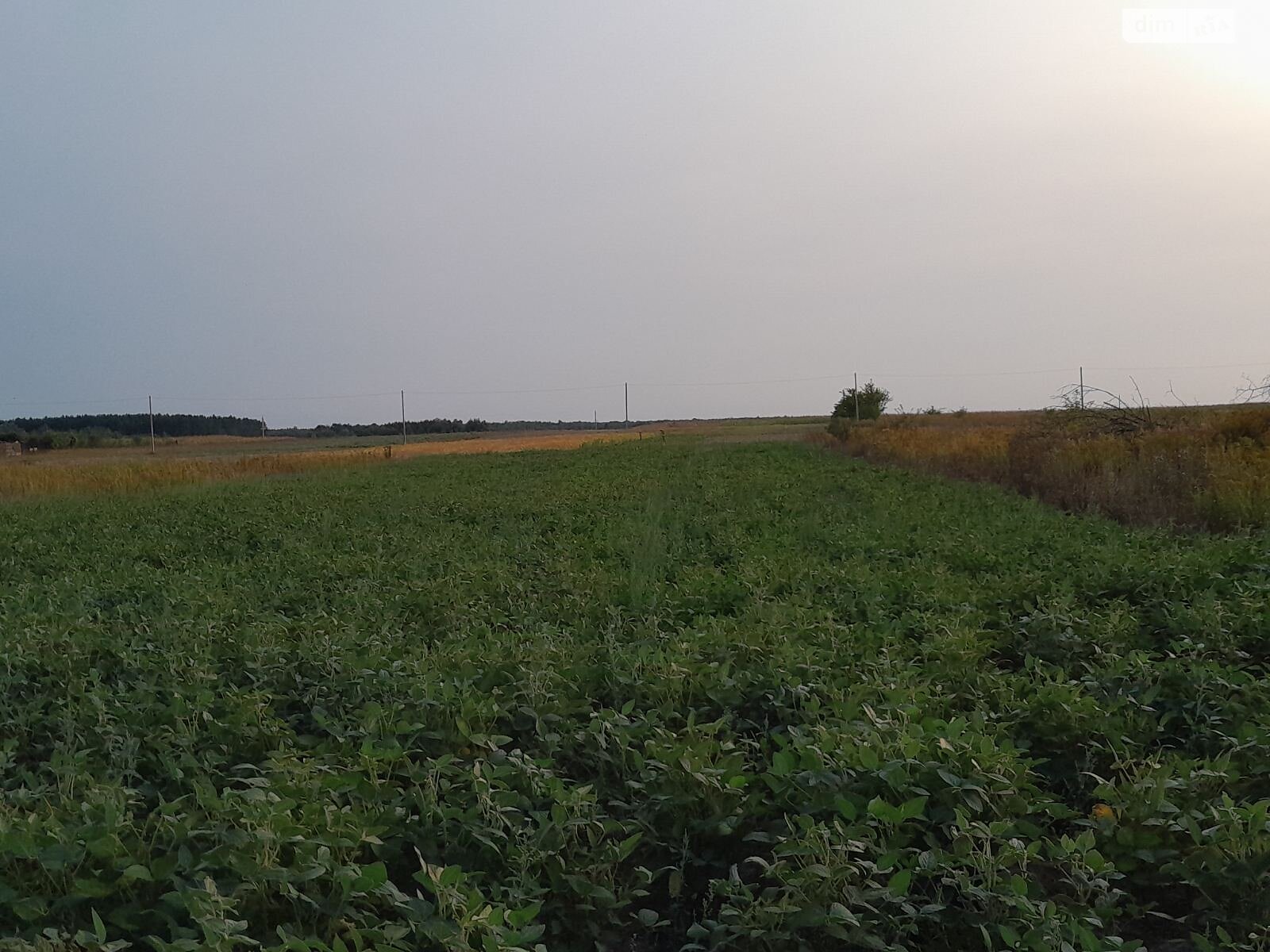 Земельна ділянка під житлову забудову в Лукашівці, площа 21.14 сотки фото 1 Земельна ділянка під житлову забудову в Лукашівці, площа 21.14 сотки фото 1