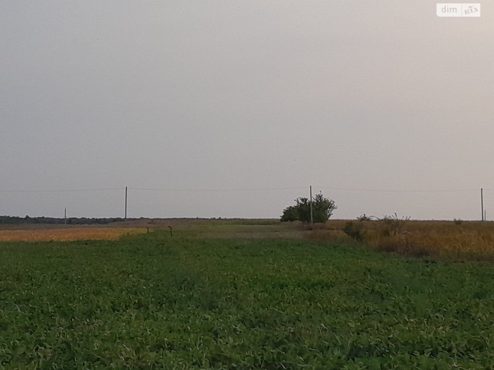 Земельна ділянка під житлову забудову в Лукашівці, площа 21.14 сотки фото 1 Земельна ділянка під житлову забудову в Лукашівці, площа 21.14 сотки фото 1