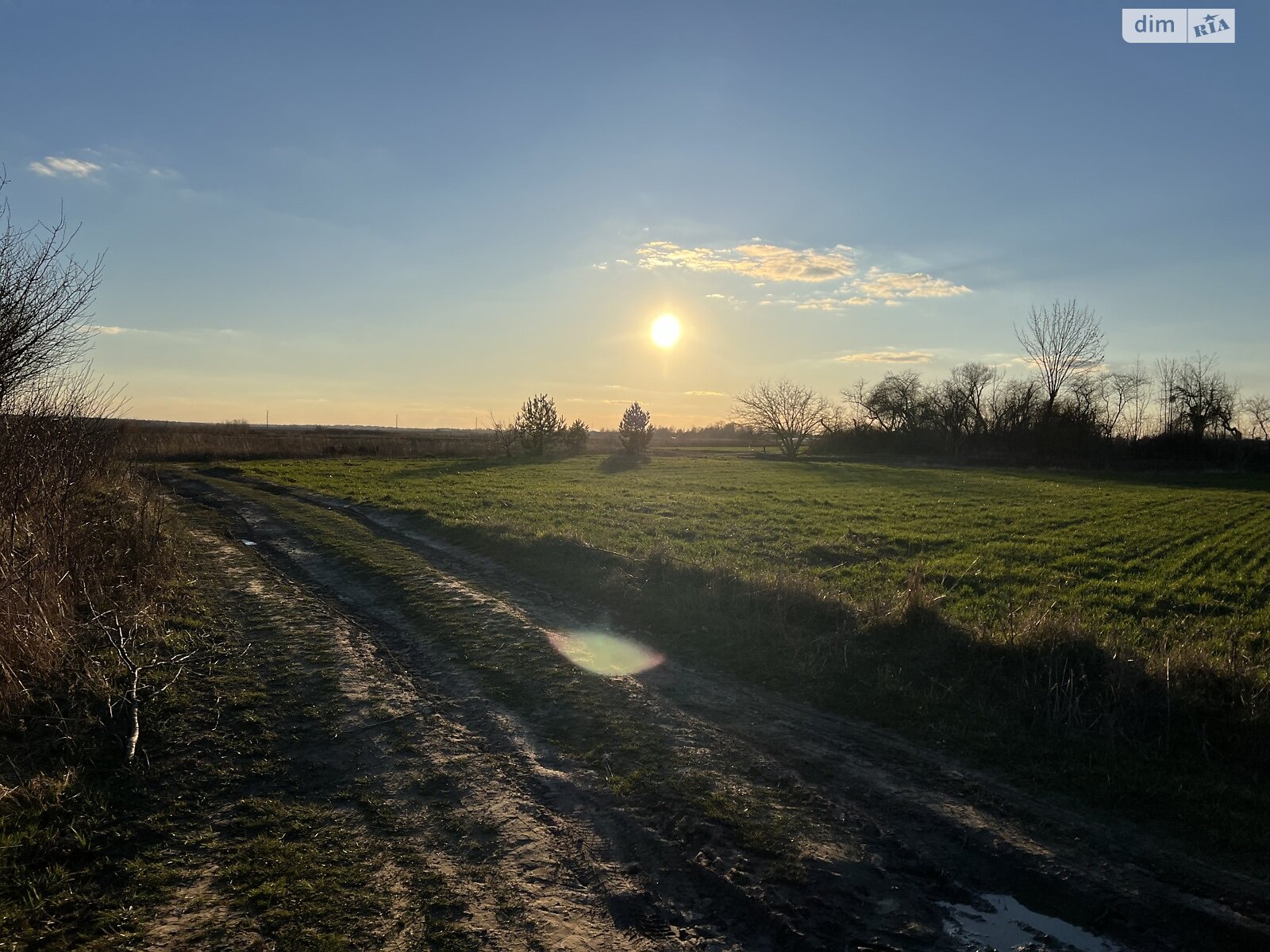 Земельна ділянка під житлову забудову в Лукашівці, площа 21 сотка фото 1