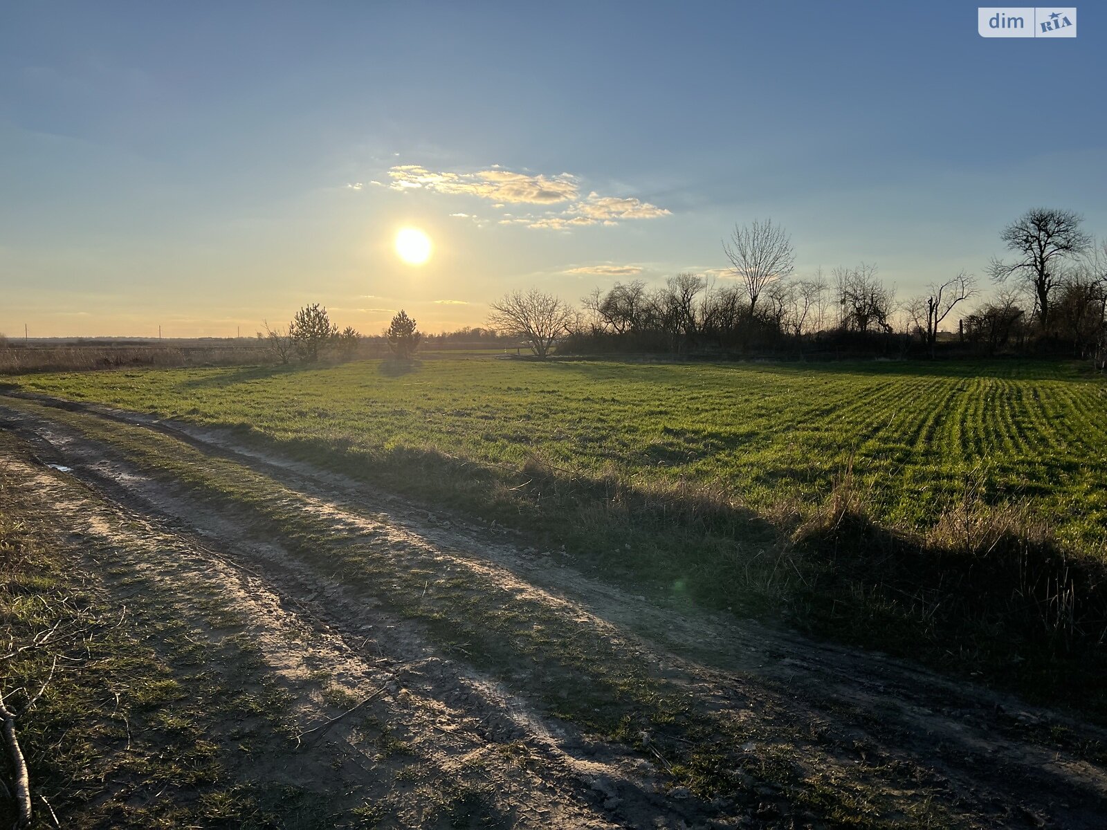 Земельна ділянка під житлову забудову в Лукашівці, площа 21 сотка фото 1