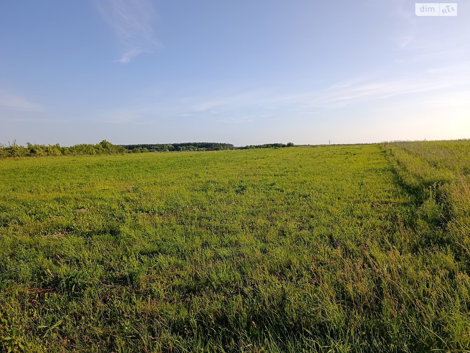 Земельна ділянка під житлову забудову в Лукашівці, площа 21 сотка фото 1 Земельна ділянка під житлову забудову в Лукашівці, площа 21 сотка фото 1