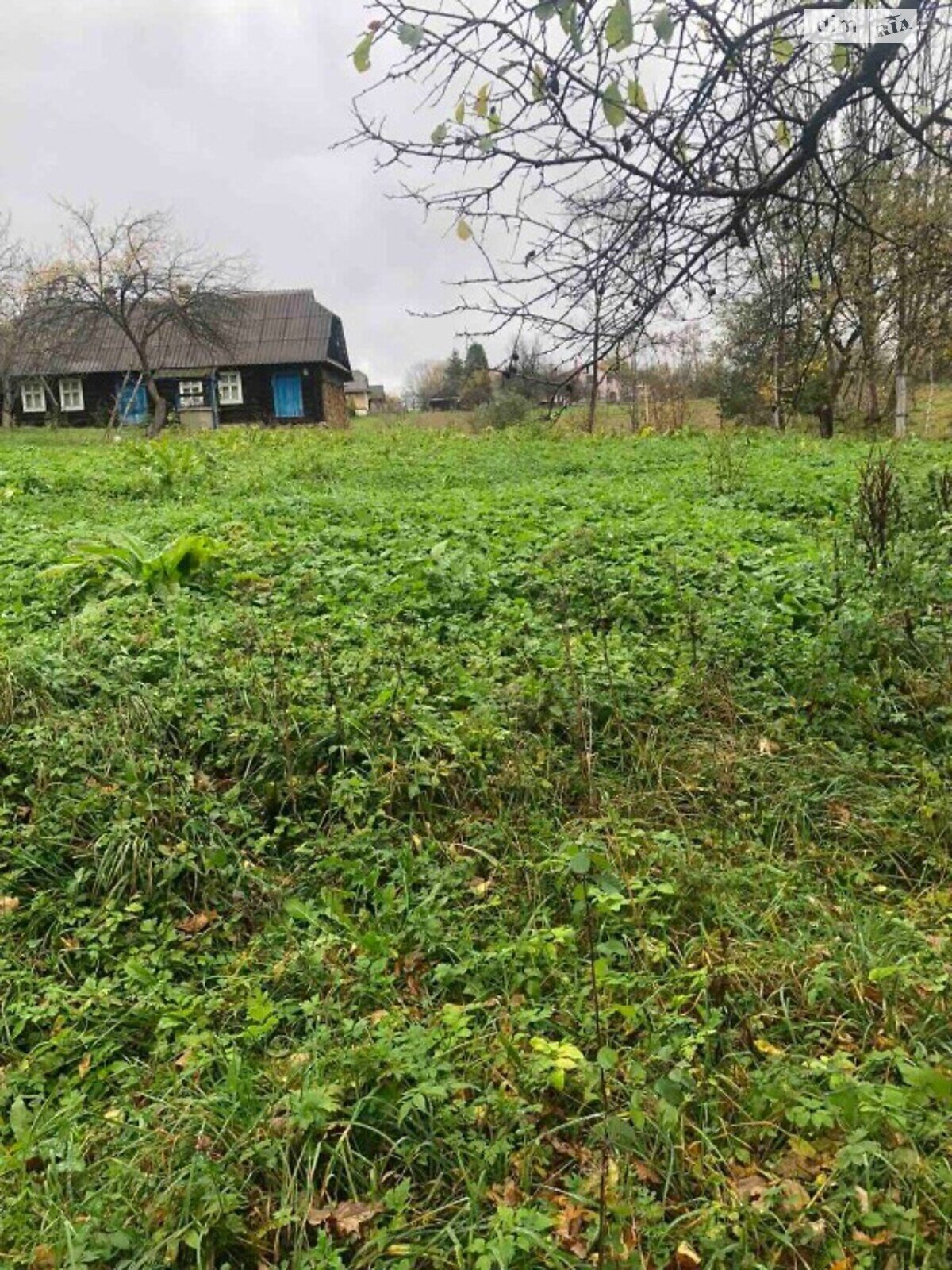 Земельна ділянка під житлову забудову в Луквиці, площа 25 соток фото 1 Земельна ділянка під житлову забудову в Луквиці, площа 25 соток фото 1