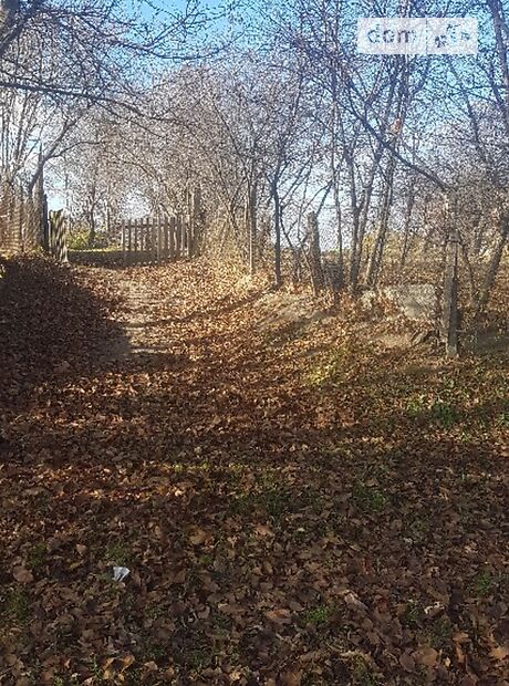 Земля під житлову забудову в селі Крупа, площа 24 сотки фото 1 Земля під житлову забудову в селі Крупа, площа 24 сотки фото 1
