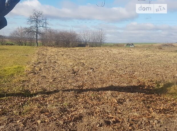Земля під житлову забудову в селі Крупа, площа 24 сотки фото 1 Земля під житлову забудову в селі Крупа, площа 24 сотки фото 1