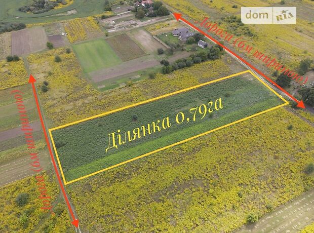 Земля під житлову забудову в селі Липини, площа 79 соток фото 1 Земля під житлову забудову в селі Липини, площа 79 соток фото 1