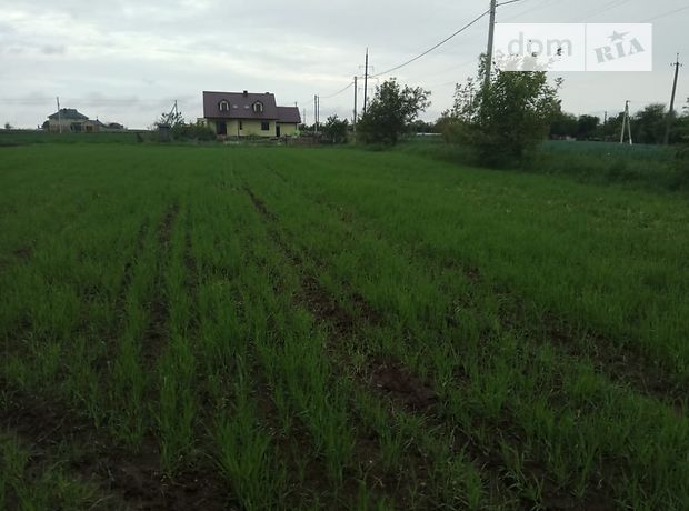 Земля под жилую застройку в селе Поддубцы, площадь 15 соток фото 1 Земля под жилую застройку в селе Поддубцы, площадь 15 соток фото 1