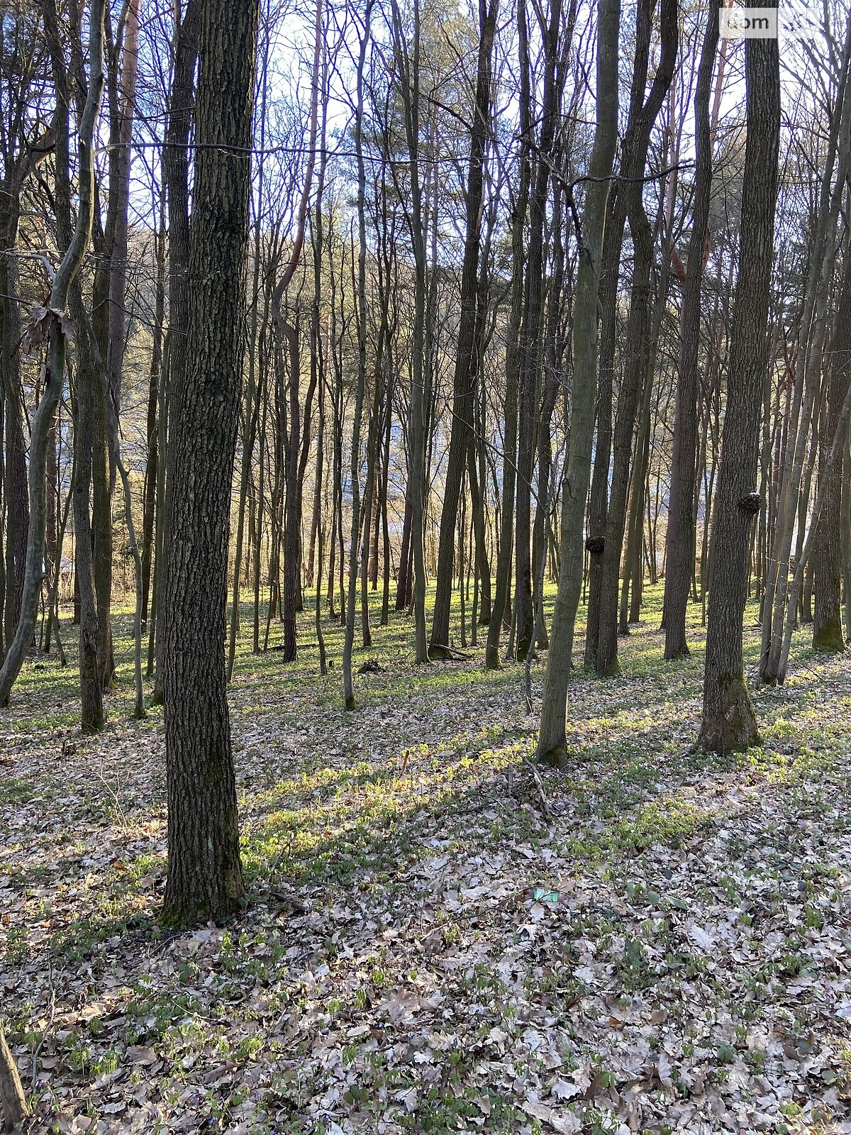 Земля под жилую застройку в Львове, район Филипповка, площадь 7 соток фото 1