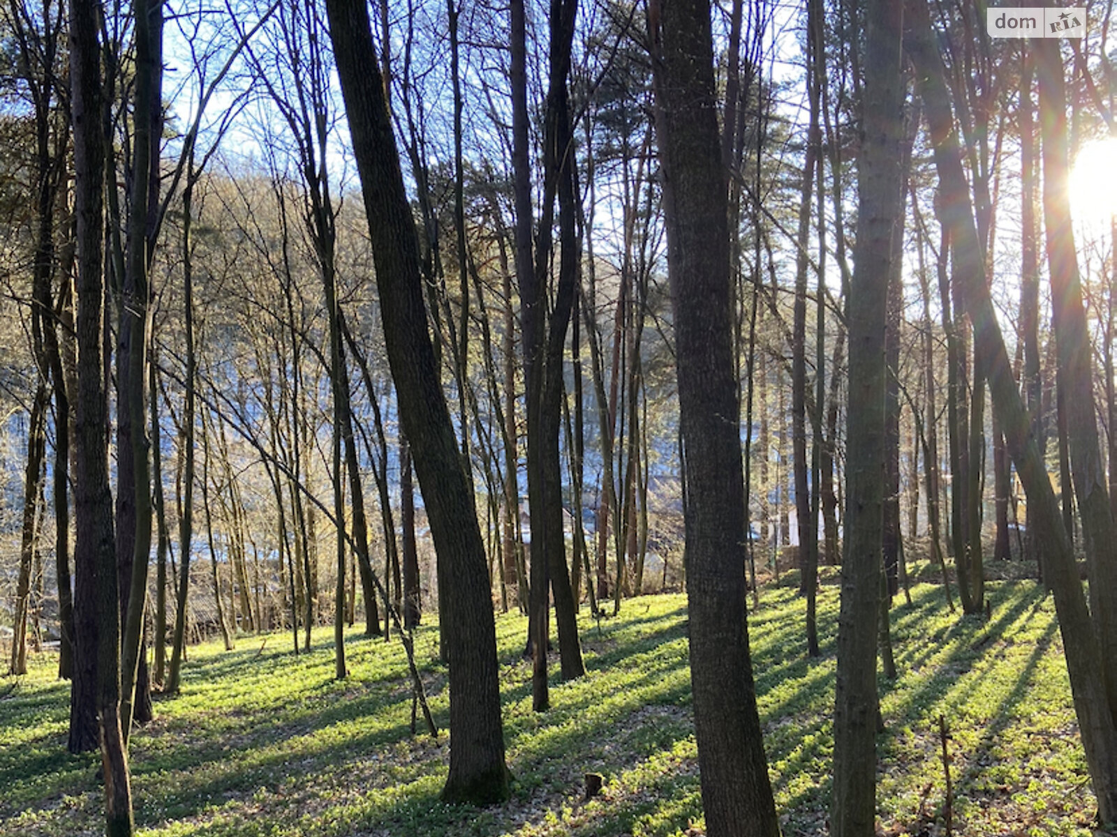 Земля під житлову забудову в Львові, район Филипівка, площа 7 соток фото 1