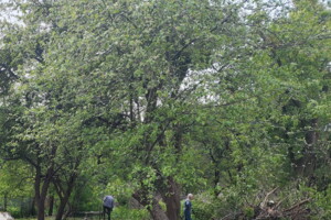 Земля під житлову забудову в Львові, район Козельники, площа 14.1 сотки фото 2
