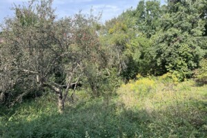 Земля под жилую застройку в Львове, район Лычаковский, площадь 42 сотки фото 2