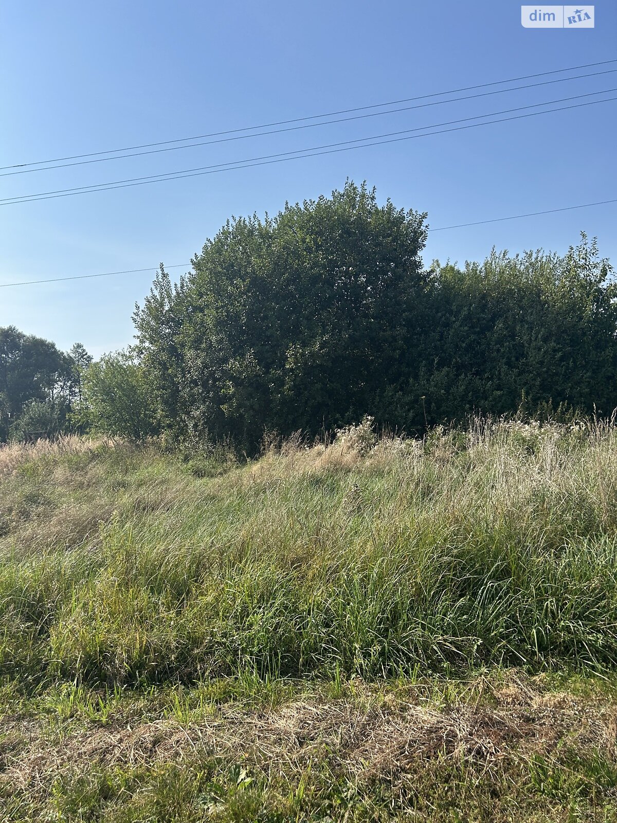 Земля под жилую застройку в Львове, район Новый Свет, площадь 15 соток фото 1 Земля под жилую застройку в Львове, район Новый Свет, площадь 15 соток фото 1