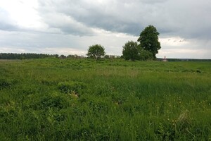 Земля под жилую застройку в Львове, район Рясное, площадь 18 соток фото 2