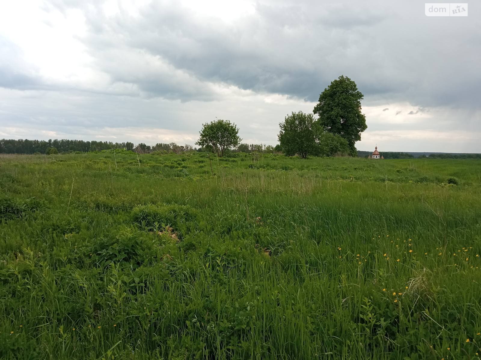 Земля под жилую застройку в Львове, район Рясное, площадь 18 соток фото 1