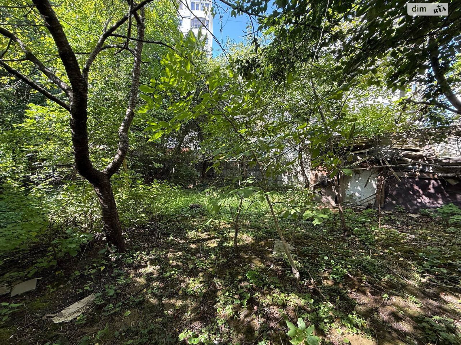 Земля под жилую застройку в Львове, район Шевченковский, площадь 6.5 сотки фото 1 Земля под жилую застройку в Львове, район Шевченковский, площадь 6.5 сотки фото 1