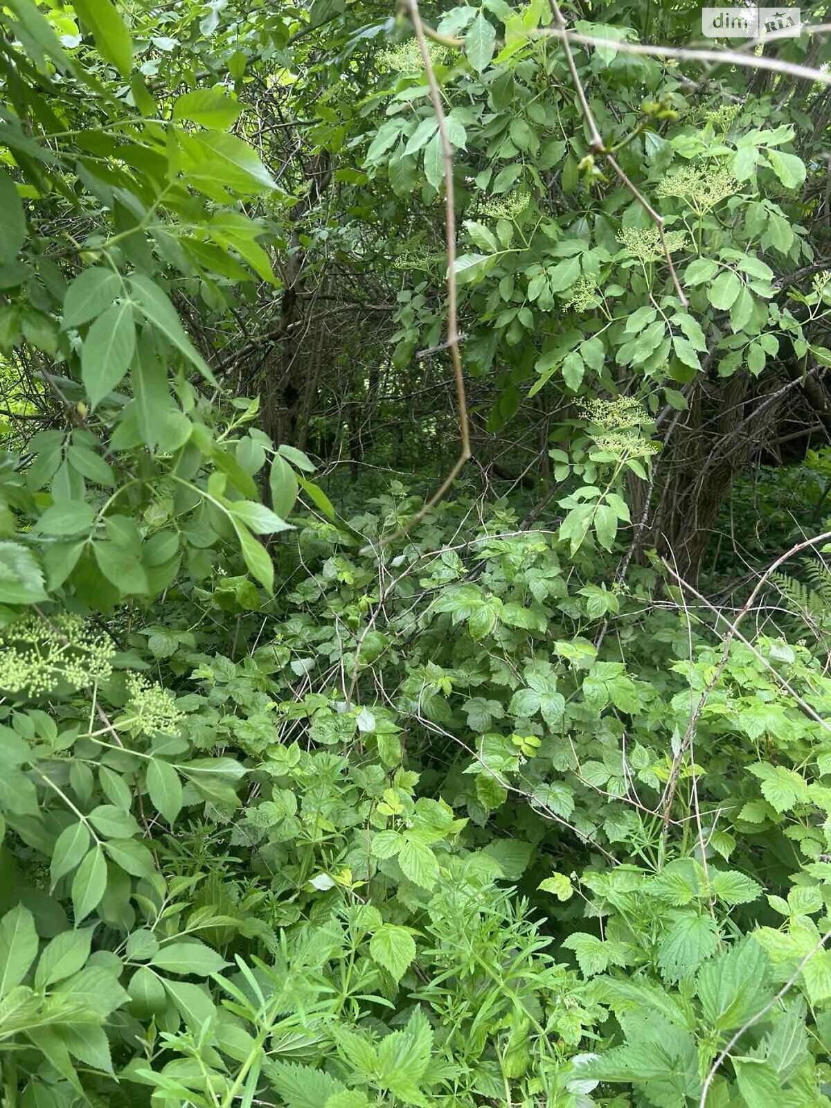 Земля под жилую застройку в Львове, район Шевченковский, площадь 10 соток фото 1