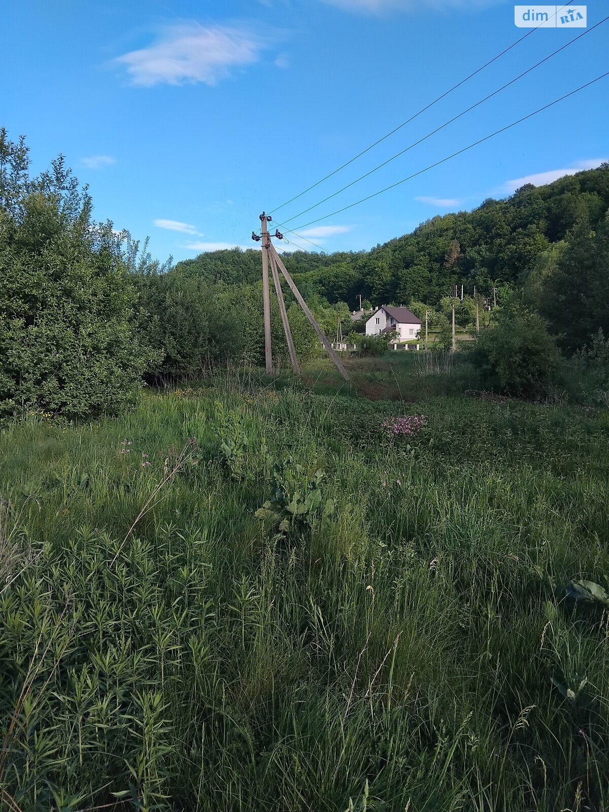 Земля під житлову забудову в Львові, район Шевченківський, площа 40 соток фото 1