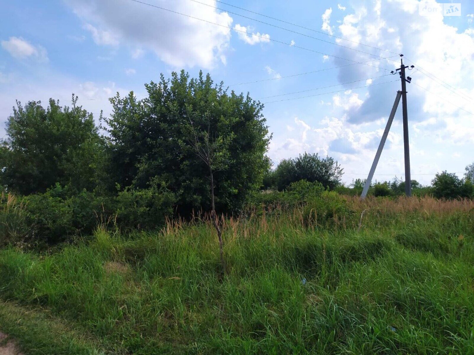 Земельна ділянка під житлову забудову в Скнилові, площа 12 соток фото 1