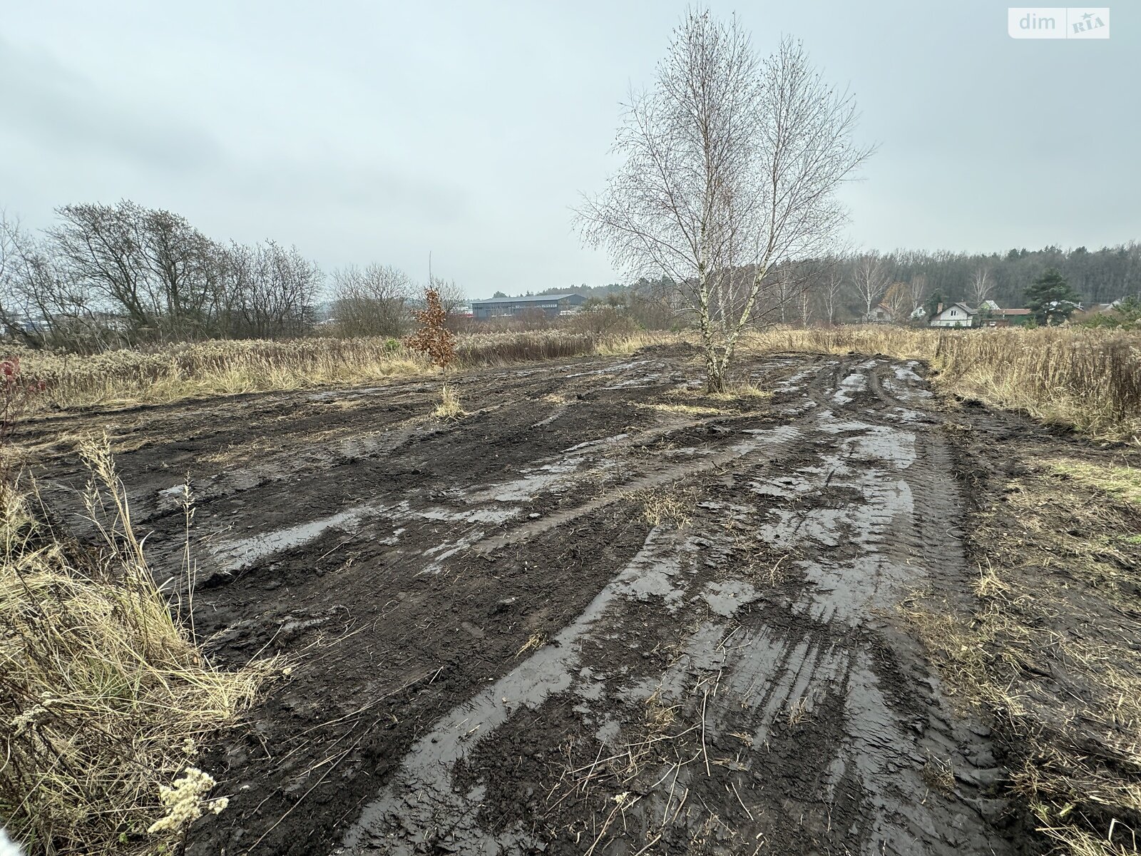 Земельный участок под жилую застройку в Львове, площадь 6 соток фото 1 Земельный участок под жилую застройку в Львове, площадь 6 соток фото 1