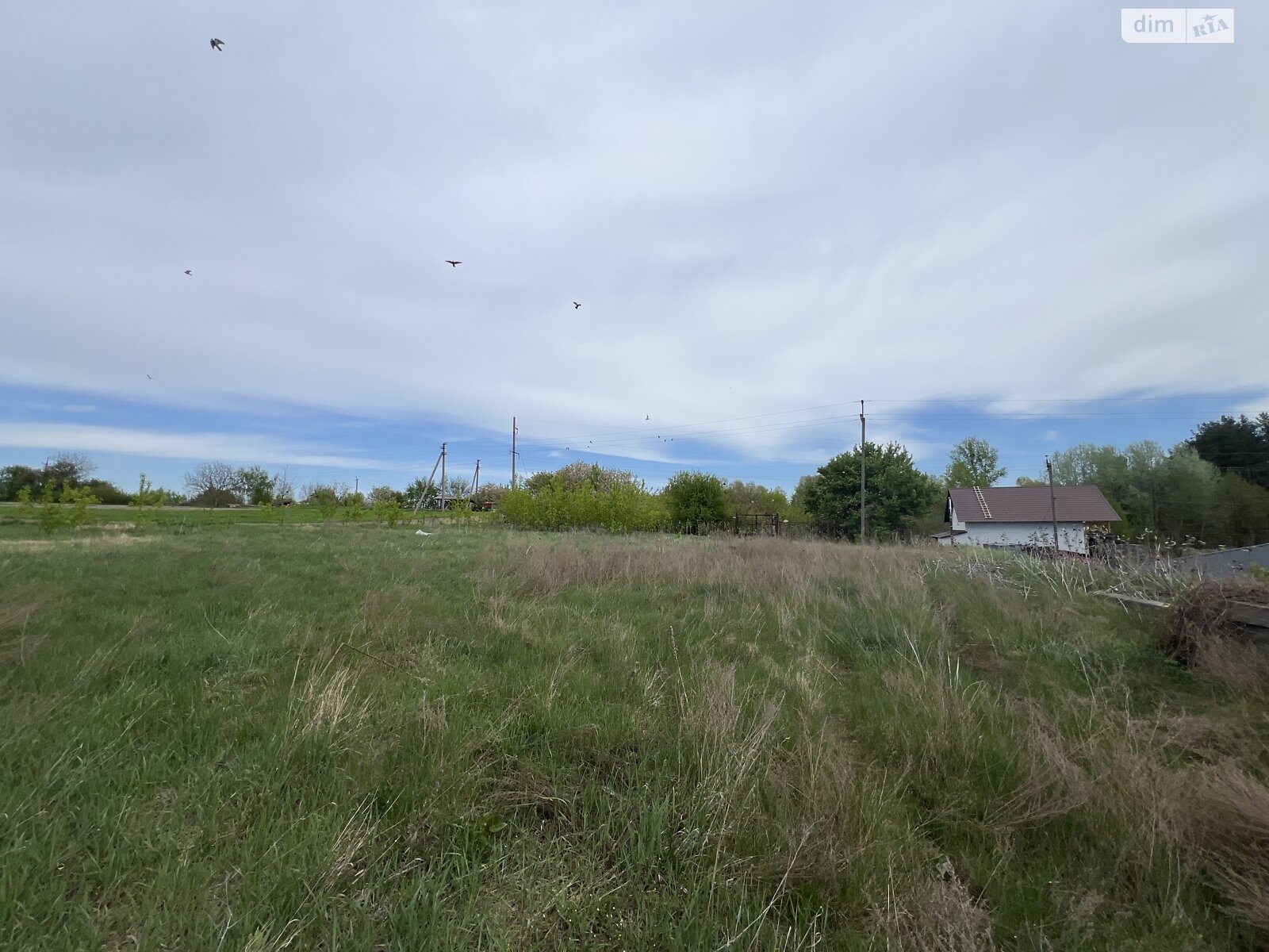 Земельный участок под жилую застройку в Личанке, площадь 24 сотки фото 1