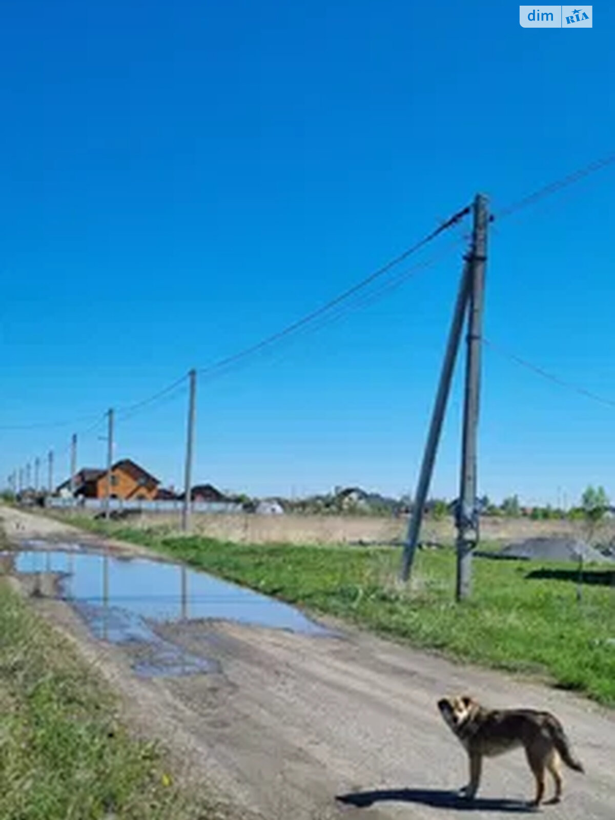 Земельна ділянка під житлову забудову в Личанці, площа 10 соток фото 1 Земельна ділянка під житлову забудову в Личанці, площа 10 соток фото 1