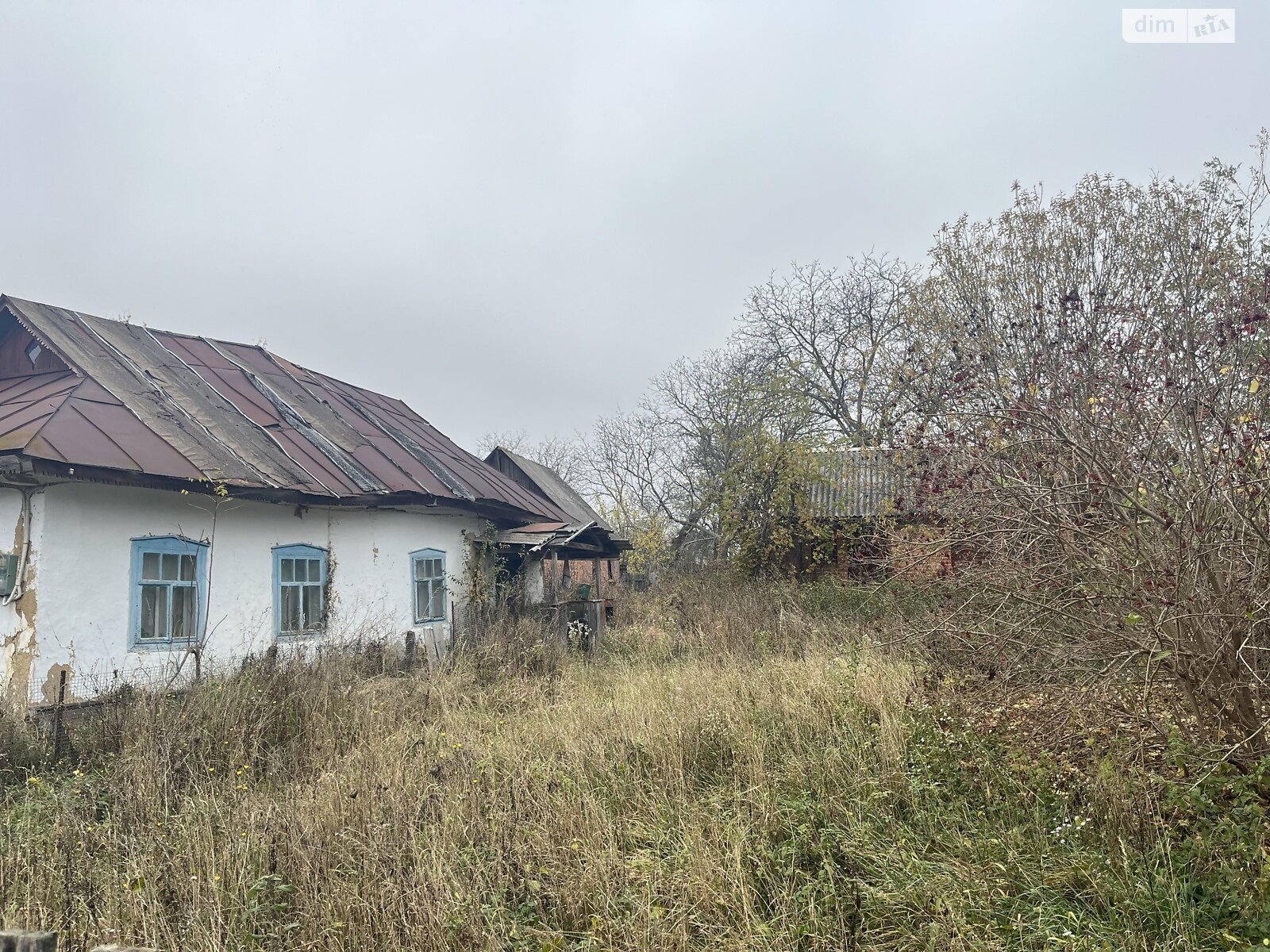 Земельный участок под жилую застройку в Лысогоре, площадь 64 сотки фото 1