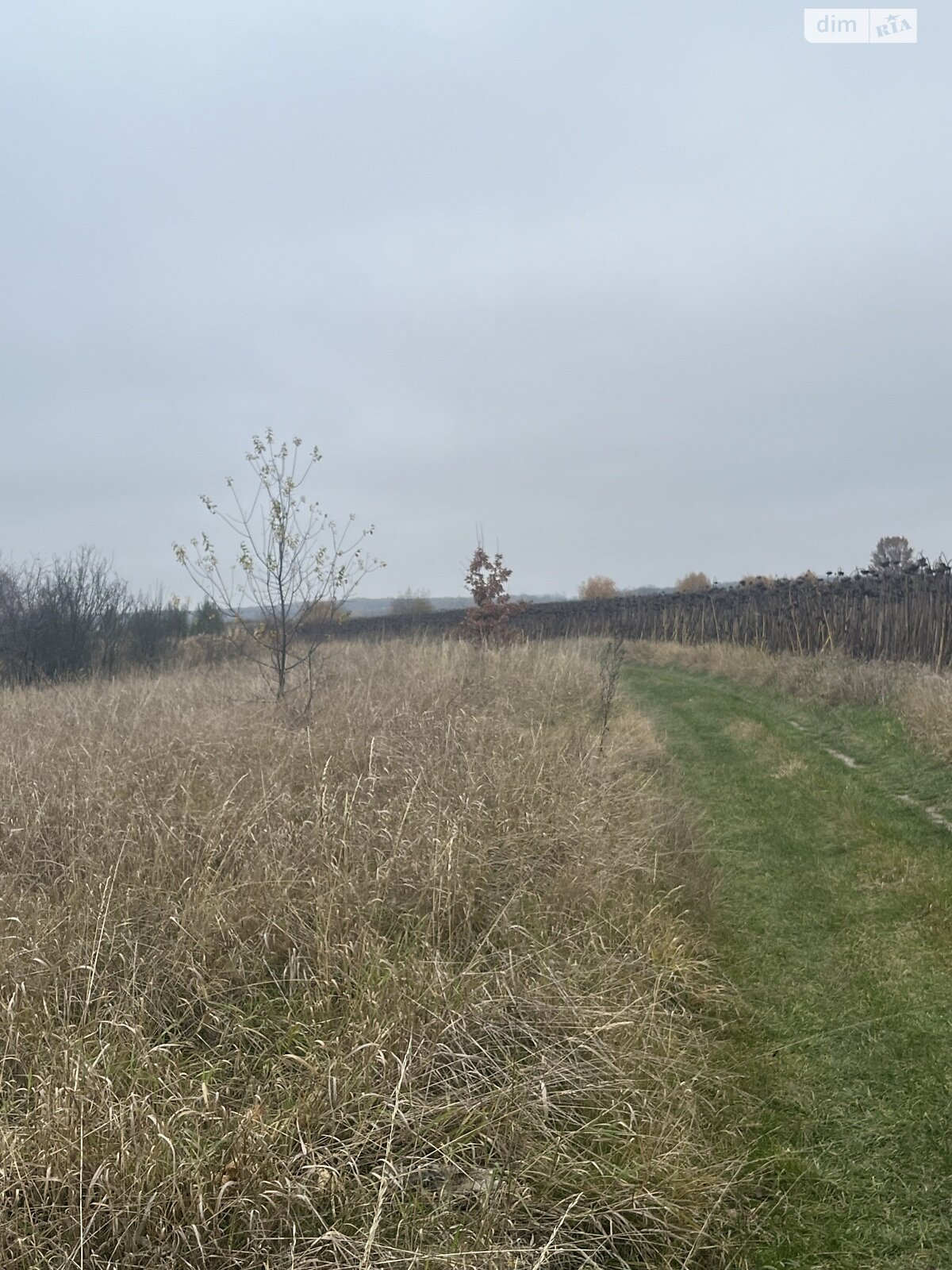 Земельный участок под жилую застройку в Лысогоре, площадь 64 сотки фото 1