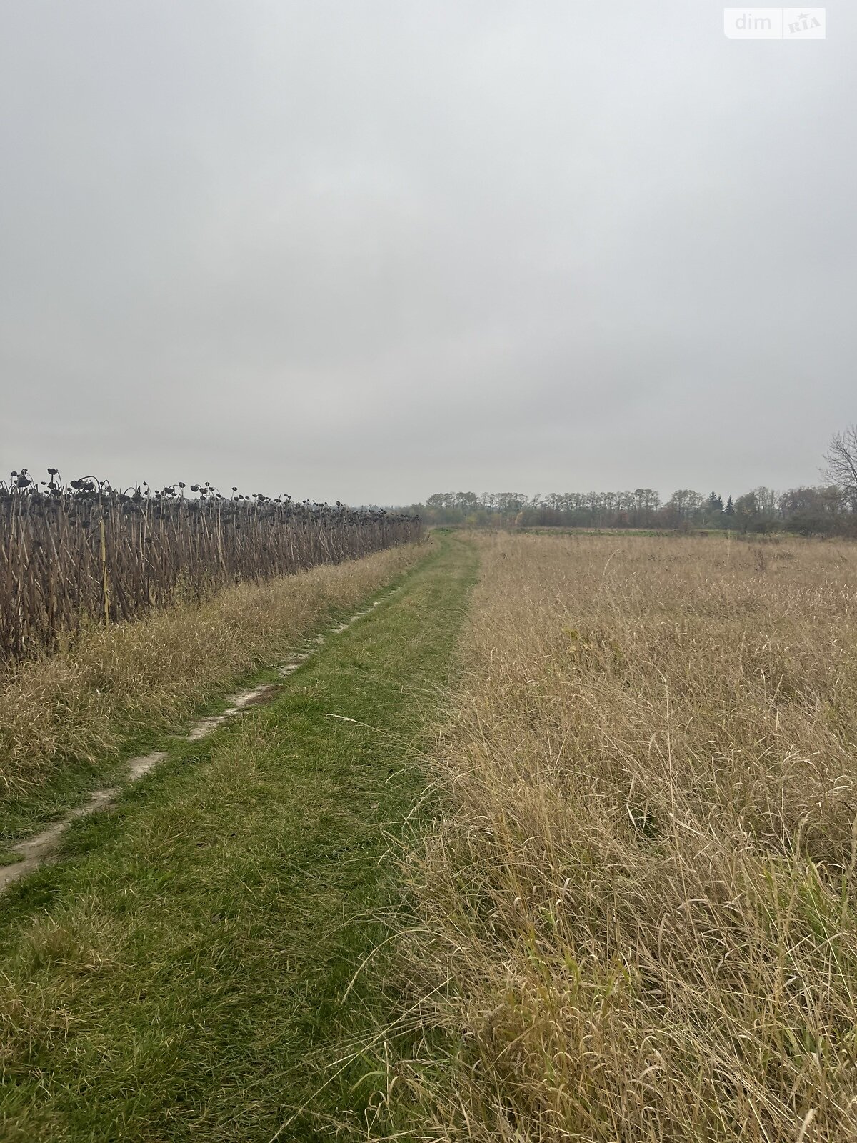 Земельный участок под жилую застройку в Лысогоре, площадь 64 сотки фото 1