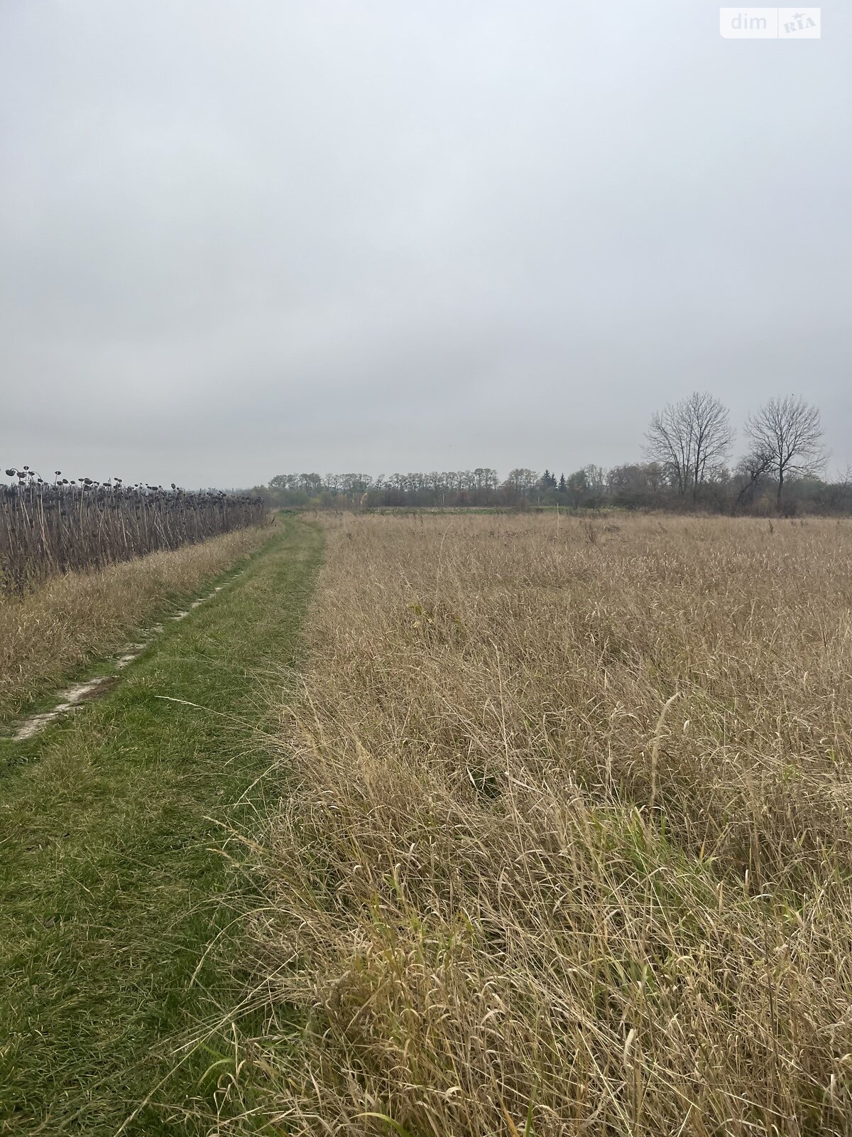 Земельный участок под жилую застройку в Лысогоре, площадь 64 сотки фото 1