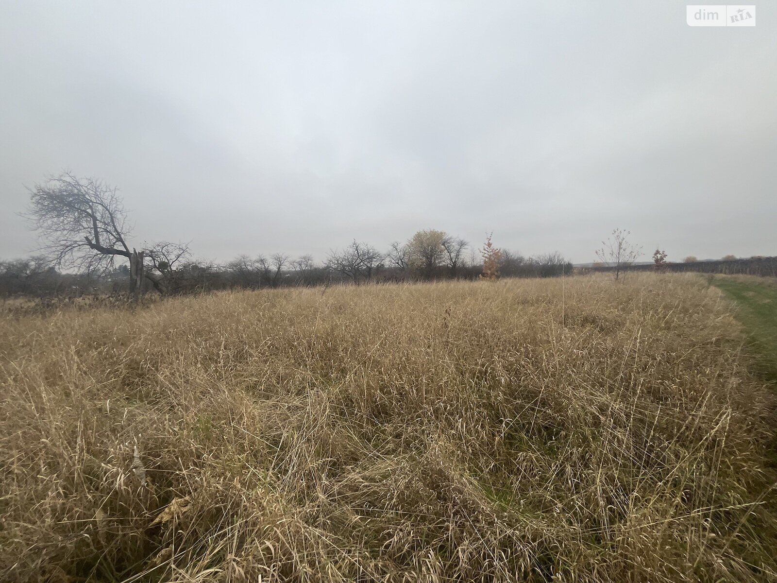 Земельный участок под жилую застройку в Лысогоре, площадь 64 сотки фото 1