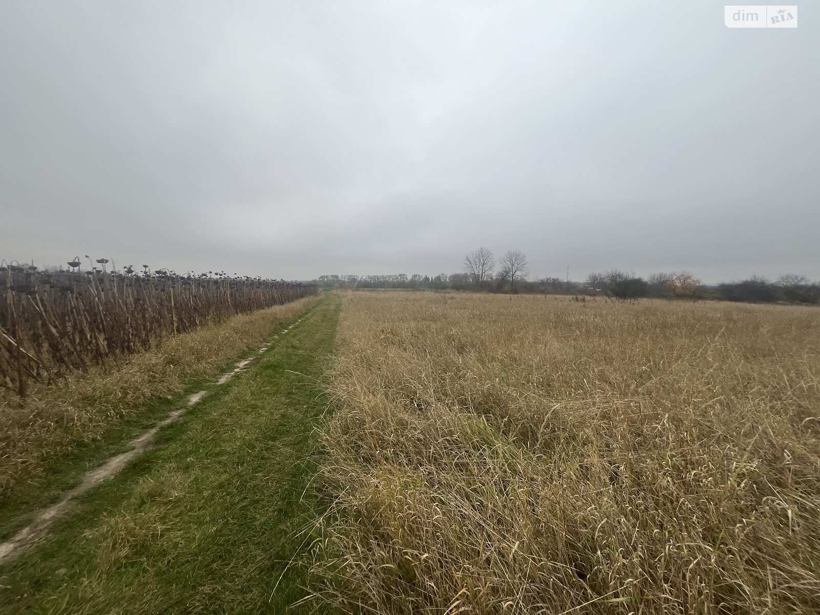 Земельный участок под жилую застройку в Лысогоре, площадь 64 сотки фото 1