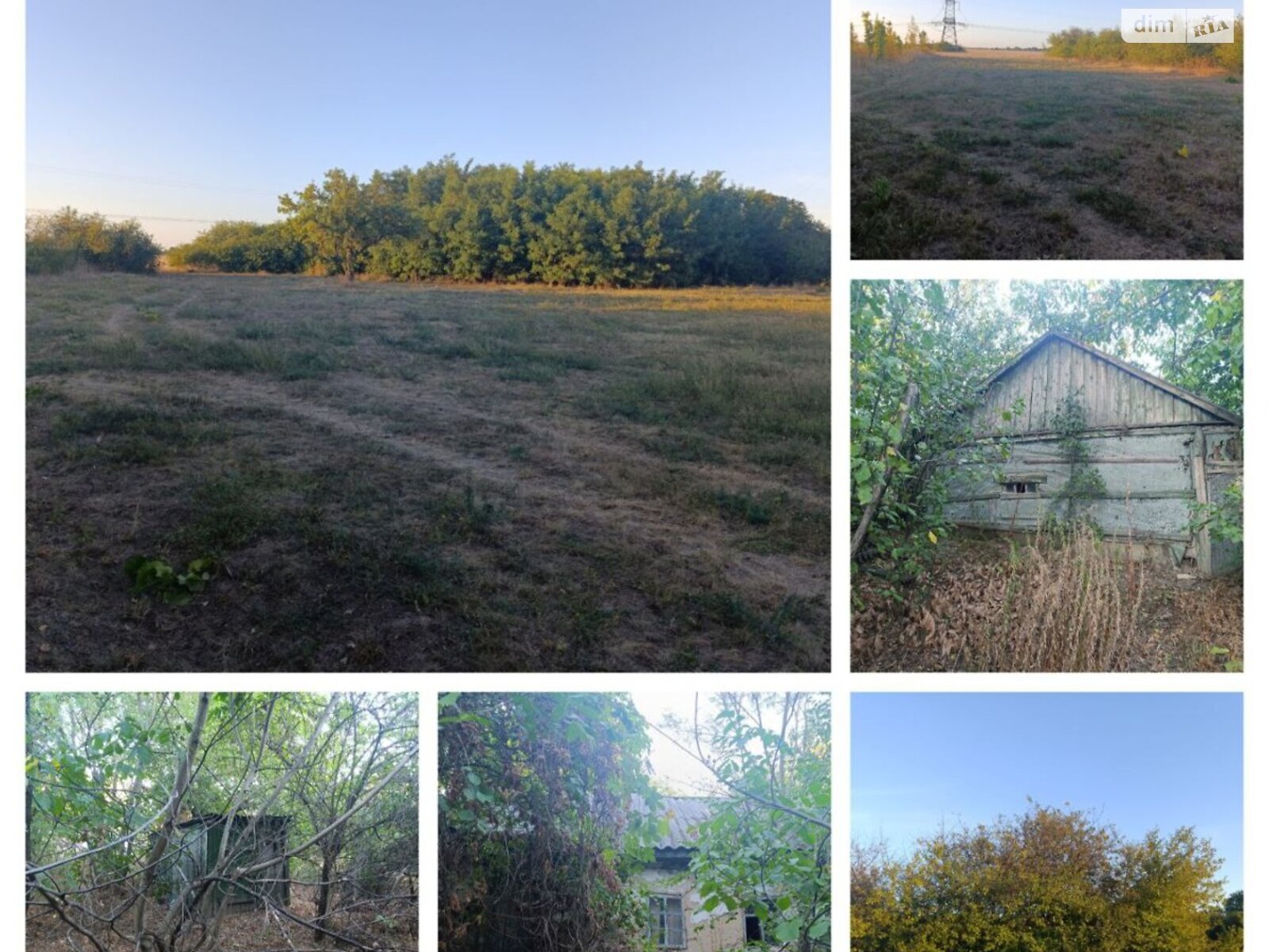 Земельный участок под жилую застройку в Мачехах, площадь 60 соток фото 1 Земельный участок под жилую застройку в Мачехах, площадь 60 соток фото 1