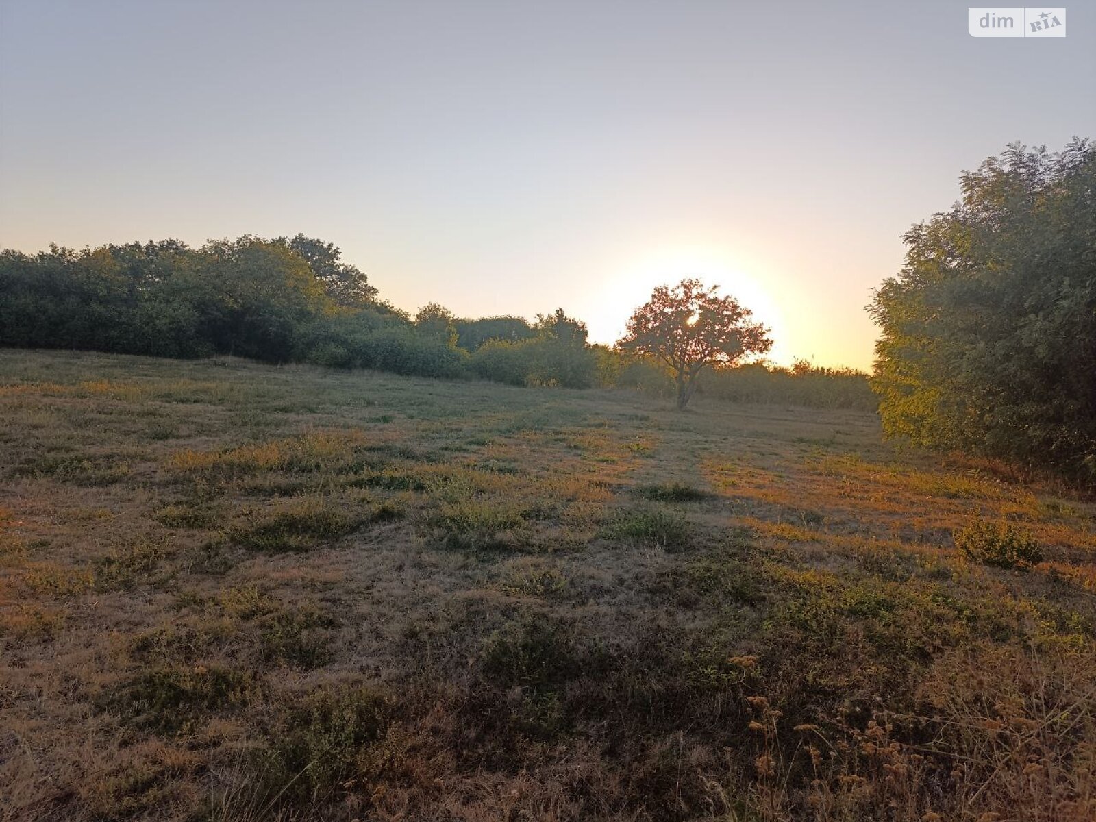 Земельный участок под жилую застройку в Мачехах, площадь 60 соток фото 1 Земельный участок под жилую застройку в Мачехах, площадь 60 соток фото 1