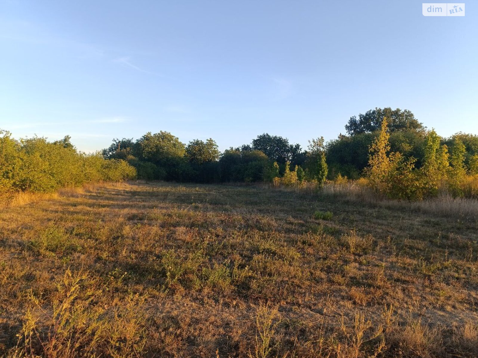 Земельный участок под жилую застройку в Мачехах, площадь 60 соток фото 1 Земельный участок под жилую застройку в Мачехах, площадь 60 соток фото 1