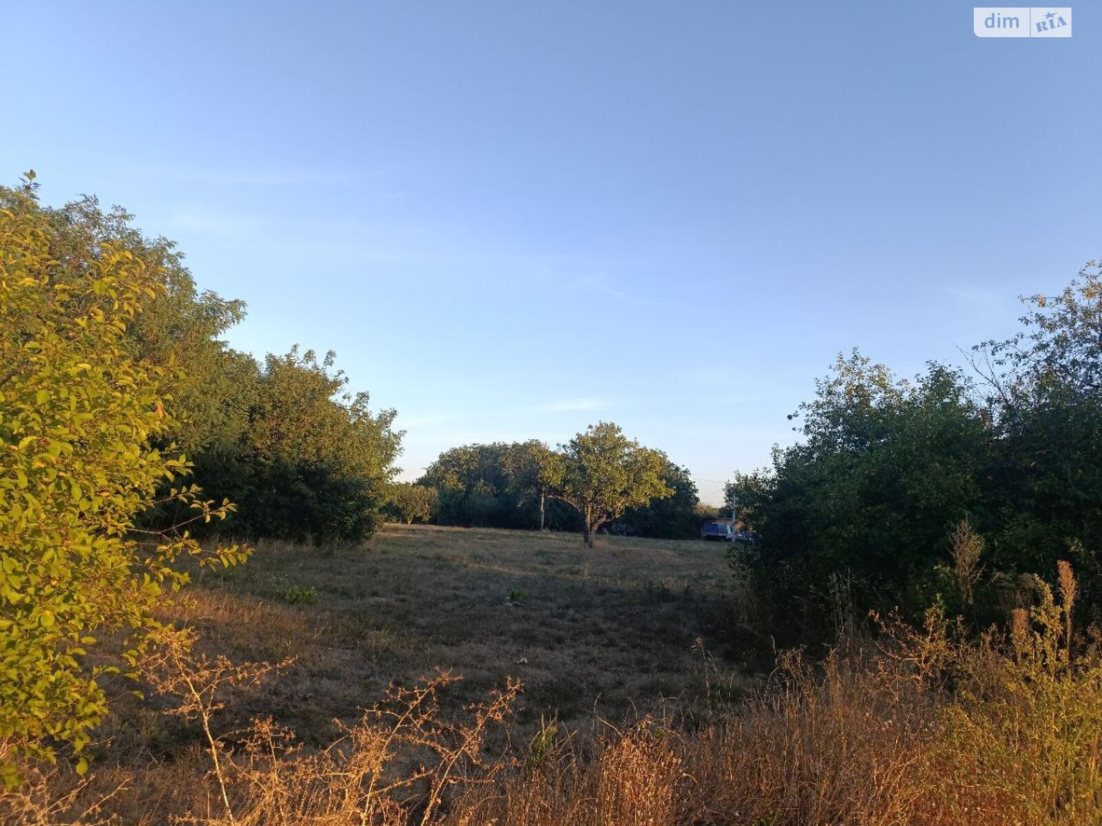 Земельный участок под жилую застройку в Мачехах, площадь 60 соток фото 1 Земельный участок под жилую застройку в Мачехах, площадь 60 соток фото 1