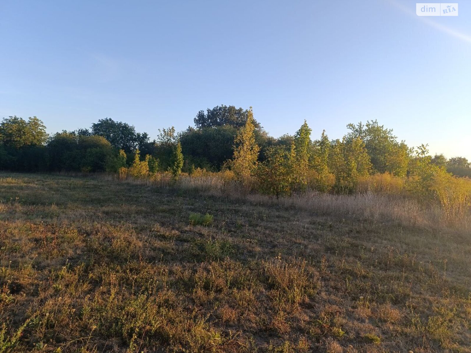 Земельный участок под жилую застройку в Мачехах, площадь 60 соток фото 1 Земельный участок под жилую застройку в Мачехах, площадь 60 соток фото 1