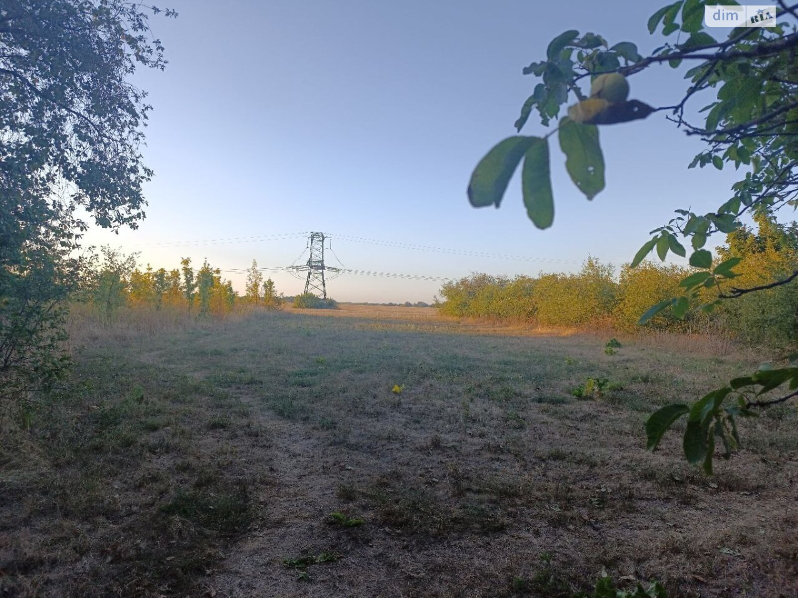 Земельный участок под жилую застройку в Мачехах, площадь 60 соток фото 1 Земельный участок под жилую застройку в Мачехах, площадь 60 соток фото 1