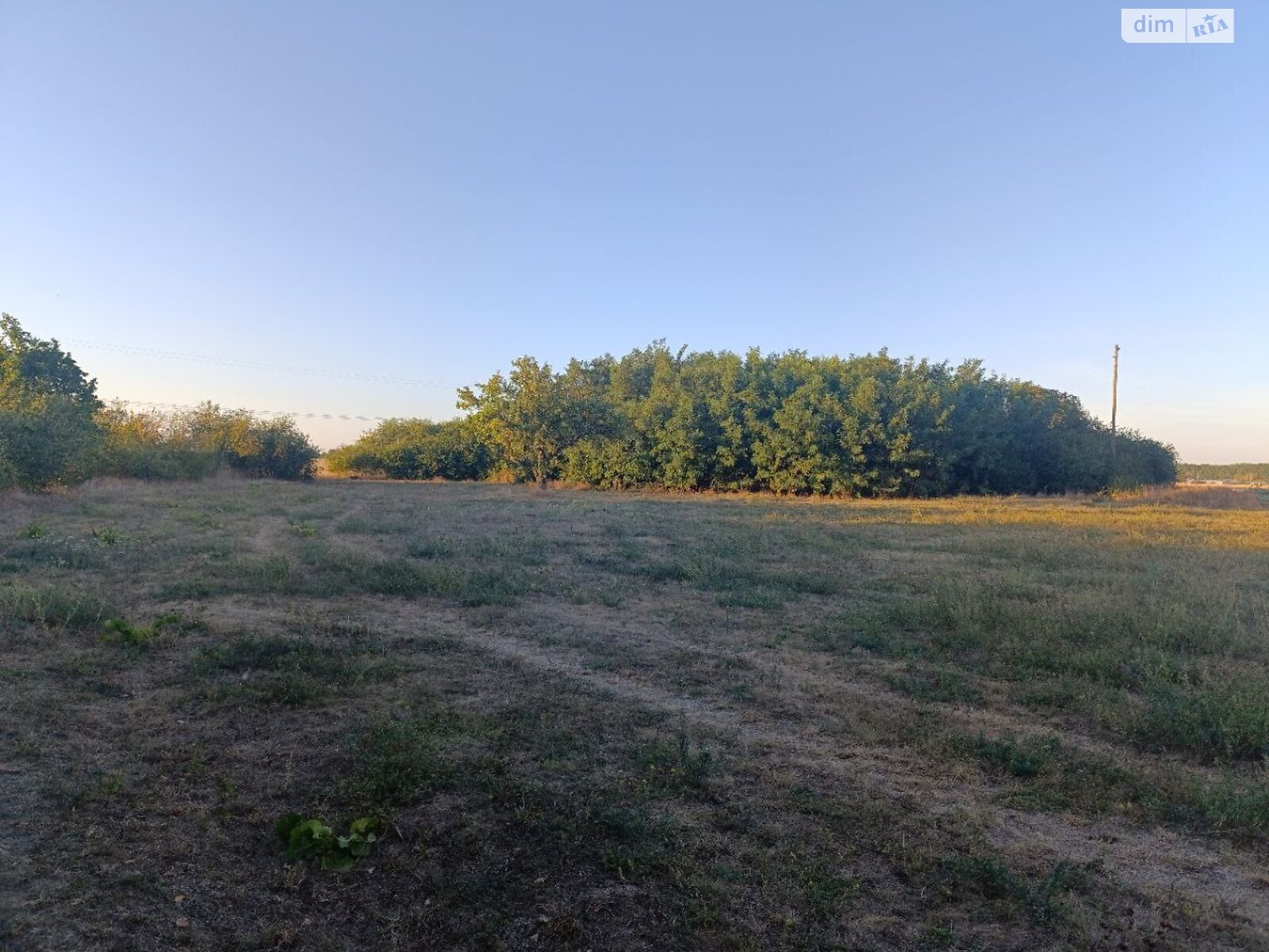 Земельный участок под жилую застройку в Мачехах, площадь 60 соток фото 1 Земельный участок под жилую застройку в Мачехах, площадь 60 соток фото 1