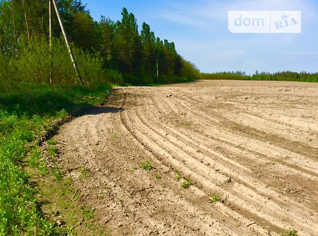 Продажа участка под жилую застройку, Киевская, Макаров, c. Грузское, Киевская Продажа участка под жилую застройку, Киевская, Макаров, c. Грузское, Киевская