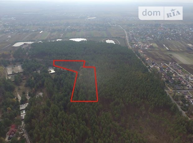 Земля под жилую застройку в селе Колонщина, площадь 125 соток фото 1 Земля под жилую застройку в селе Колонщина, площадь 125 соток фото 1