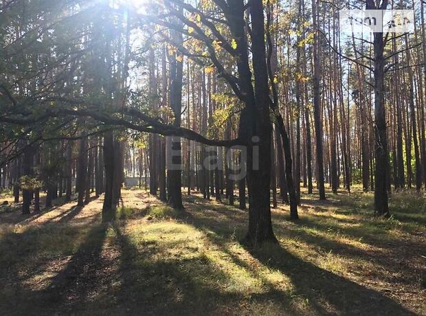 Земля под жилую застройку в селе Колонщина, площадь 25 соток фото 1 Земля под жилую застройку в селе Колонщина, площадь 25 соток фото 1
