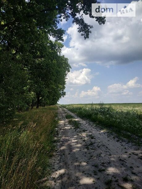 Земля под жилую застройку в селе Колонщина, площадь 7 соток фото 1 Земля под жилую застройку в селе Колонщина, площадь 7 соток фото 1