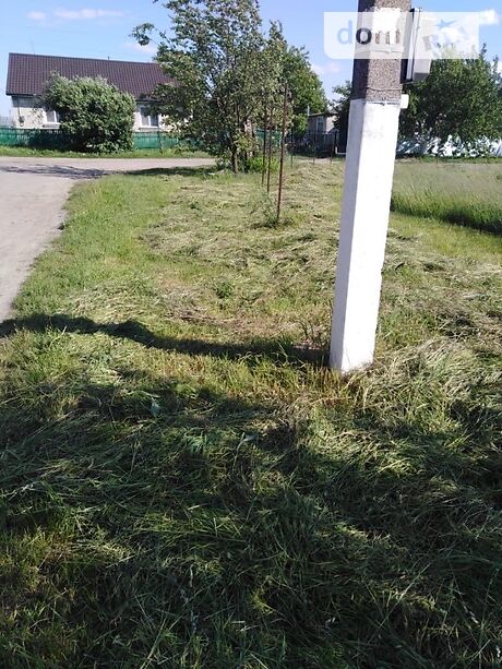 Земля под жилую застройку в селе Людвиновка, площадь 13 соток фото 1 Земля под жилую застройку в селе Людвиновка, площадь 13 соток фото 1