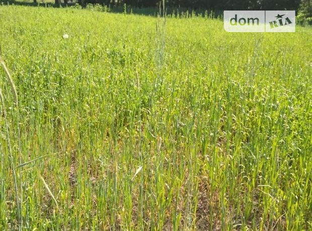 Продаж ділянки під житлову забудову, Київська, Макарів, c. Рожів, Приречная улица Продаж ділянки під житлову забудову, Київська, Макарів, c. Рожів, Приречная улица
