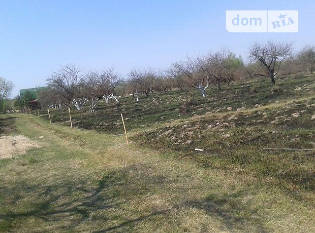 Земля под жилую застройку в селе Юровка, площадь 1 соток фото 1 Земля под жилую застройку в селе Юровка, площадь 1 соток фото 1