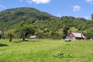 Земельна ділянка під житлову забудову в Максимці, площа 14.6 сотки фото 1