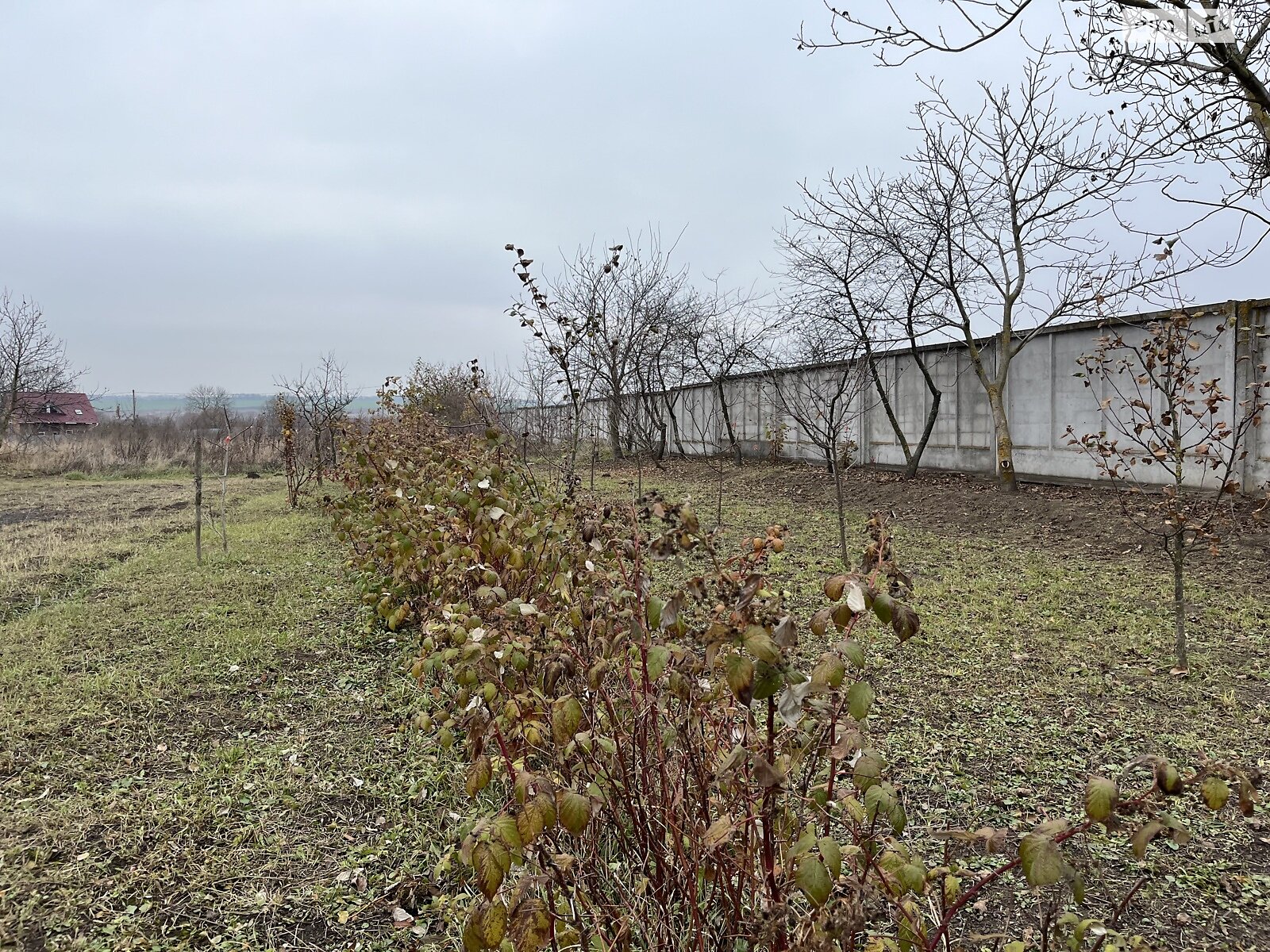 Земельна ділянка під житлову забудову в Малашівцях, площа 34 сотки фото 1 Земельна ділянка під житлову забудову в Малашівцях, площа 34 сотки фото 1