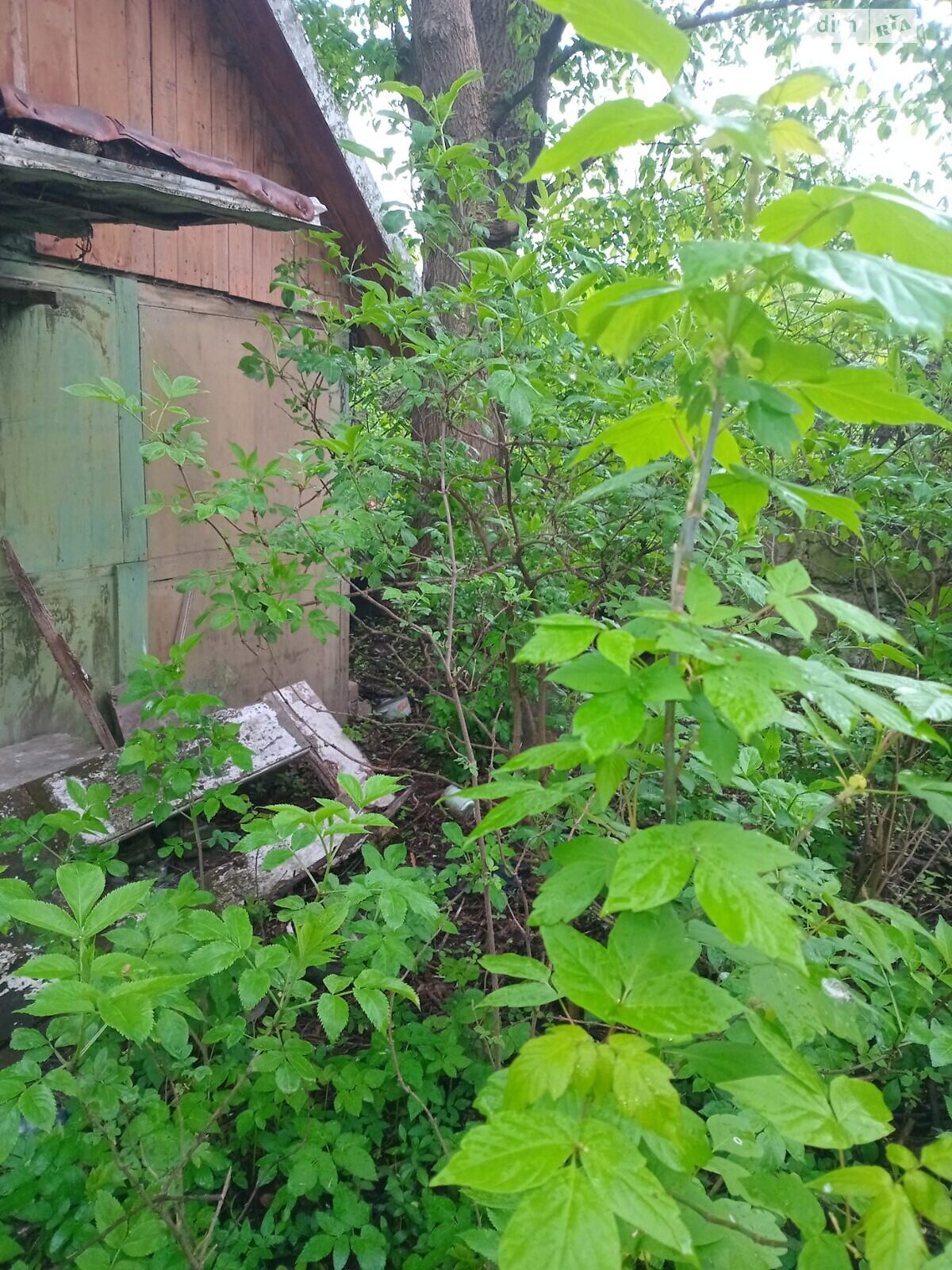 Земельный участок под жилую застройку в Малашовцах, площадь 14 соток фото 1 Земельный участок под жилую застройку в Малашовцах, площадь 14 соток фото 1