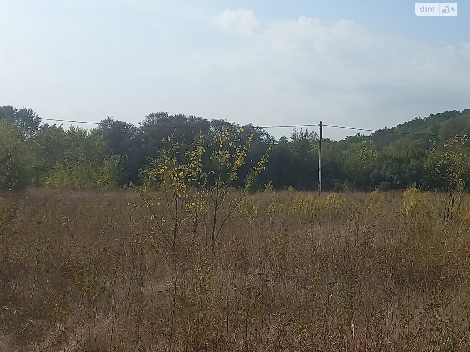 Земельна ділянка під житлову забудову в Малій Данилівці, площа 12 соток фото 1 Земельна ділянка під житлову забудову в Малій Данилівці, площа 12 соток фото 1
