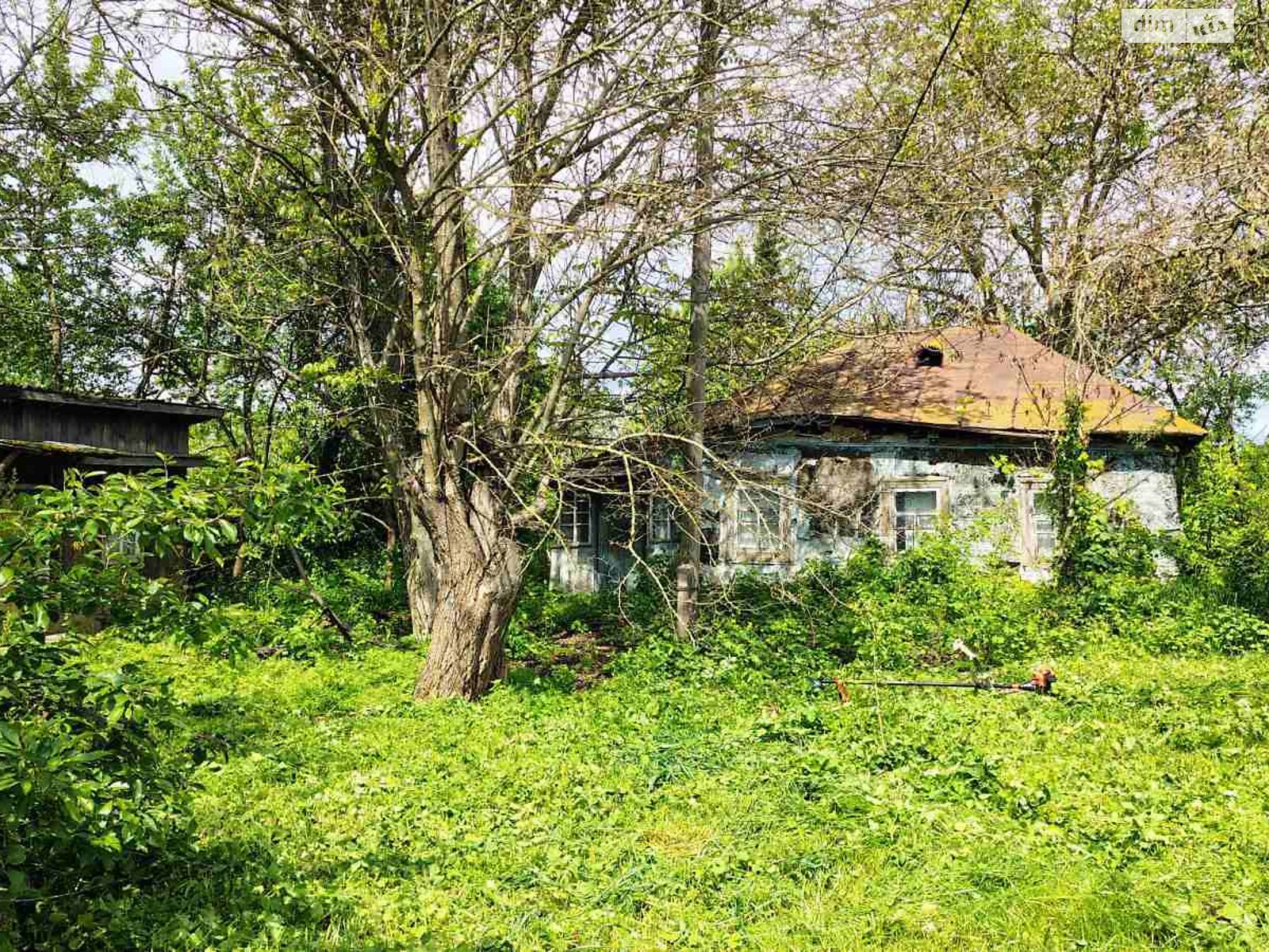 Земельный участок под жилую застройку в Малой Старице, площадь 48 соток фото 1 Земельный участок под жилую застройку в Малой Старице, площадь 48 соток фото 1