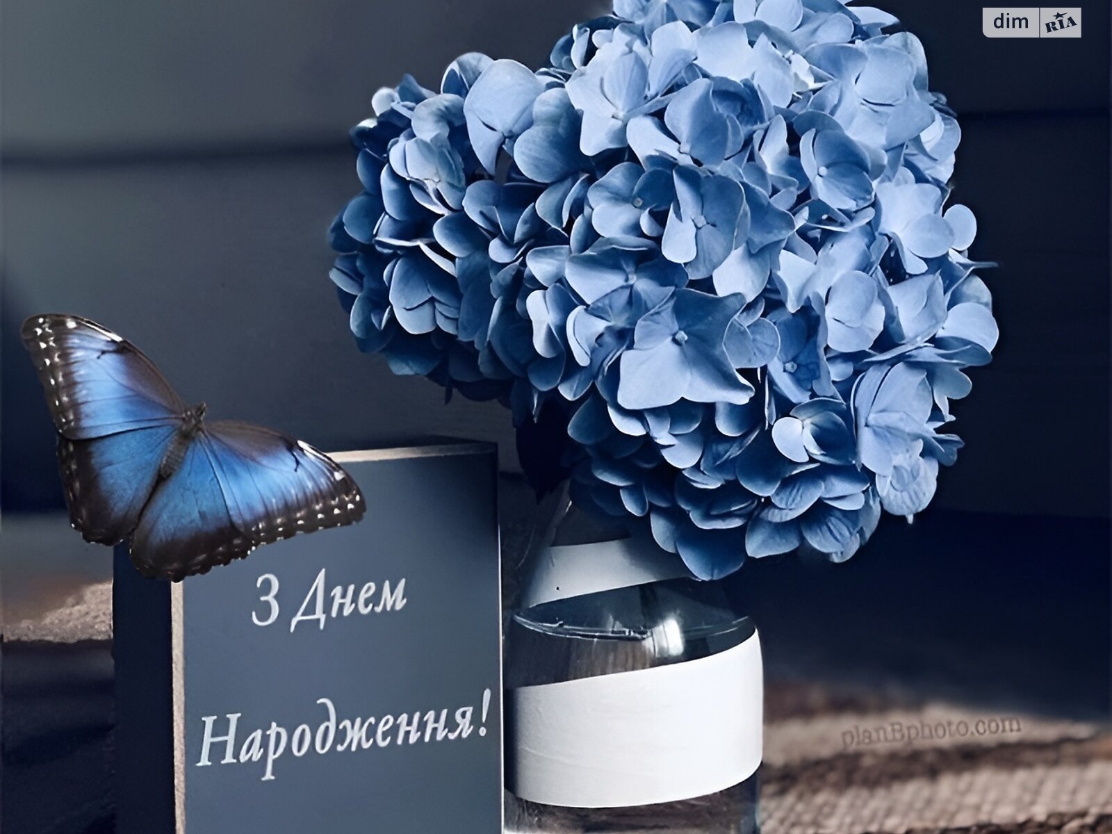 Земельна ділянка під житлову забудову в Малиничі, площа 25 соток фото 1 Земельна ділянка під житлову забудову в Малиничі, площа 25 соток фото 1